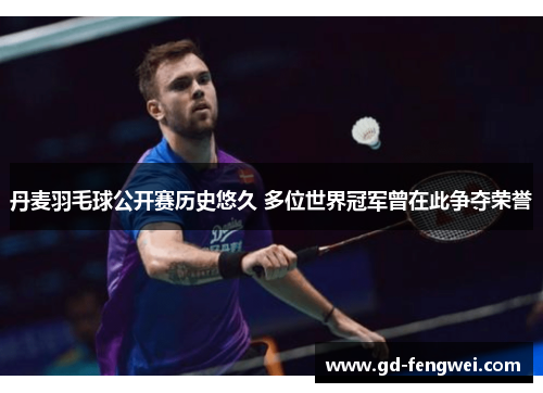 丹麦羽毛球公开赛历史悠久 多位世界冠军曾在此争夺荣誉