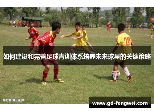 如何建设和完善足球青训体系培养未来球星的关键策略