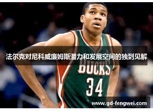 法尔克对尼科威廉姆斯潜力和发展空间的独到见解